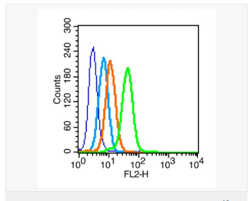 600e5ee137aed.png image.png