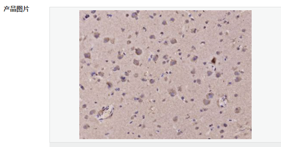 603dce4022ec8.png image.png