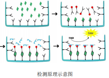 68ccefdeb16e8.png image.png