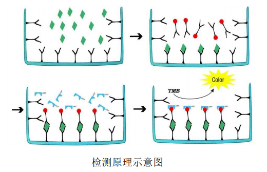 6ab0957133803.png image.png